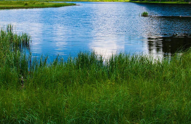 Have your say on estuary management plan