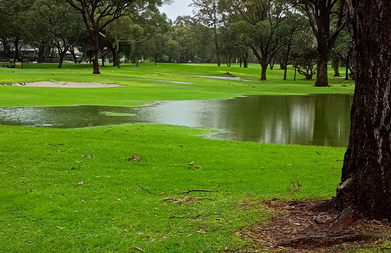 Hawks Nest Ladies Golf