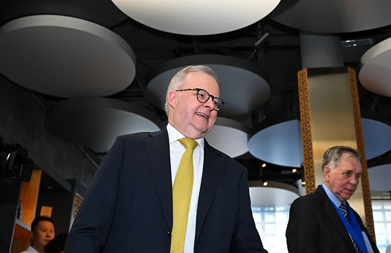 Buoyant Albanese plots next phase of Labor dynasty