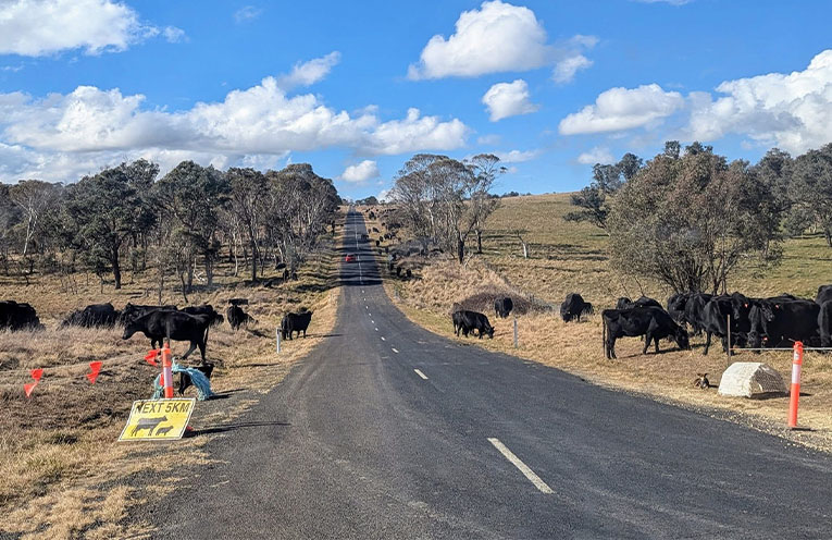 Annual farm census underway across NSW