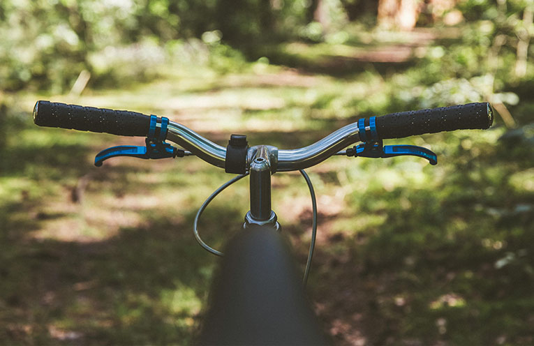 MidCoast Council adopts walking and cycling strategy