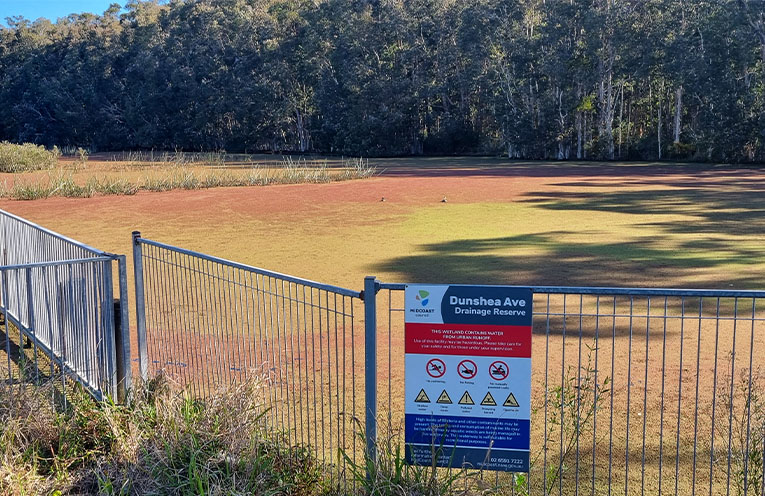 Drainage reserve smothered by thick azolla bloom
