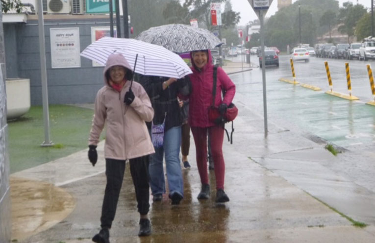 Thursday Walkers group brave elements for August treks