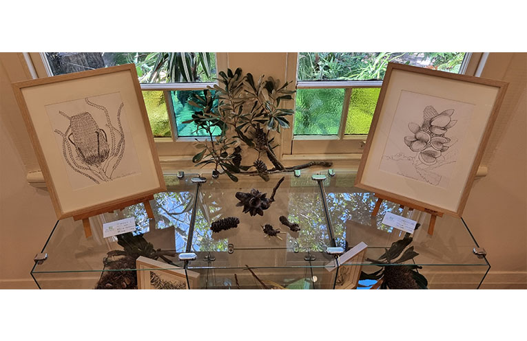 The studies in ink and pencil show an acute insight into the structure of the subject. Photo: Thomas O’Keefe