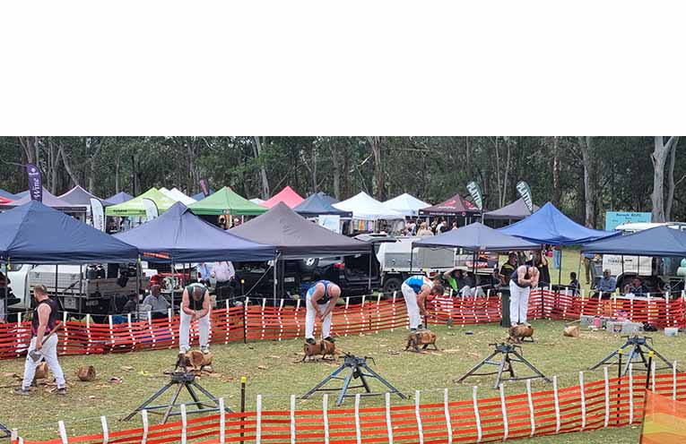 NEWS_Karuah Oyster Fest 2025 POST_TOK_PY1