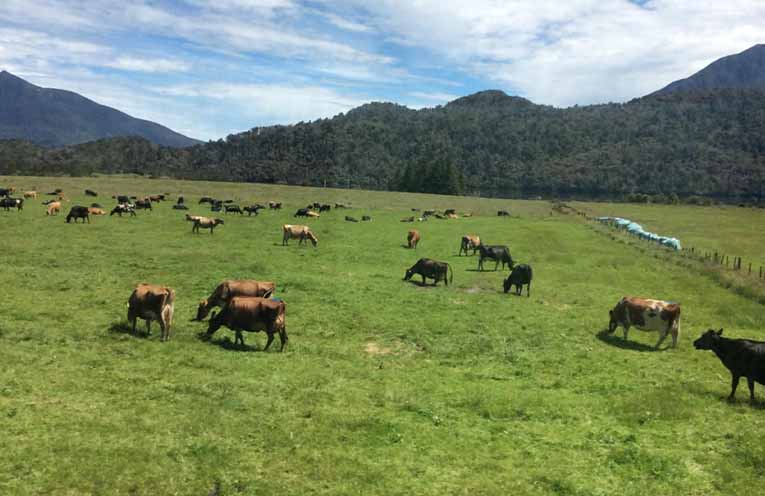 Health, housing and jobs stifling the country dream