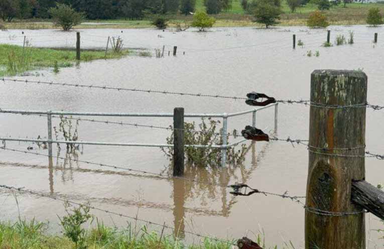 BlazeAid calls for volunteers to help rebuild fences destroyed in Mid North Coast floods