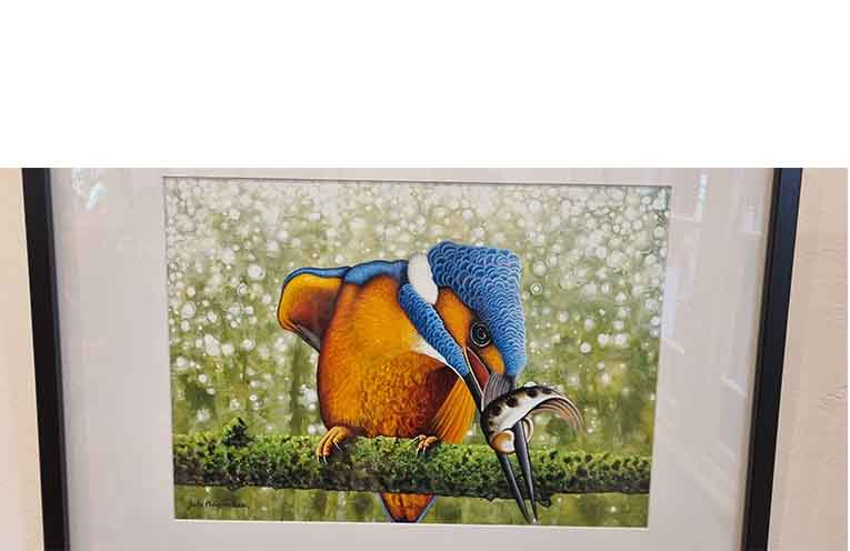 Jade’s vibrant kingfisher catches more than just his meal. Photo: Thomas O’Keefe.