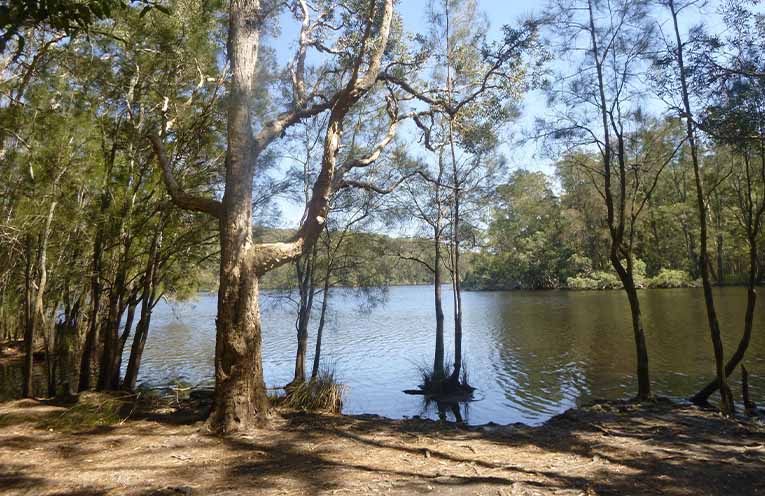 At The Rivermouth. Photo: Robyn.