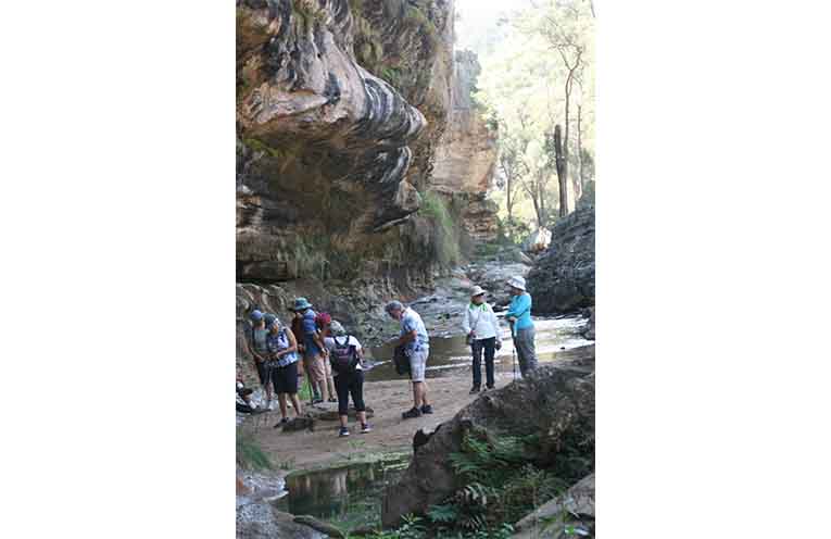 The Great Dripping Wall at Mudgee. Photo: Thursday Walkers.