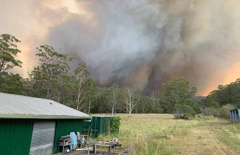 Natural disaster declarations made for six LGAs following bushfires