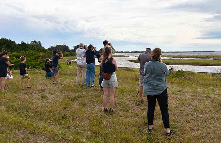 Workshops inspire action to protect Hunter’s shorebirds