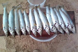 Stinker’s Fishin’: Hit the beaches