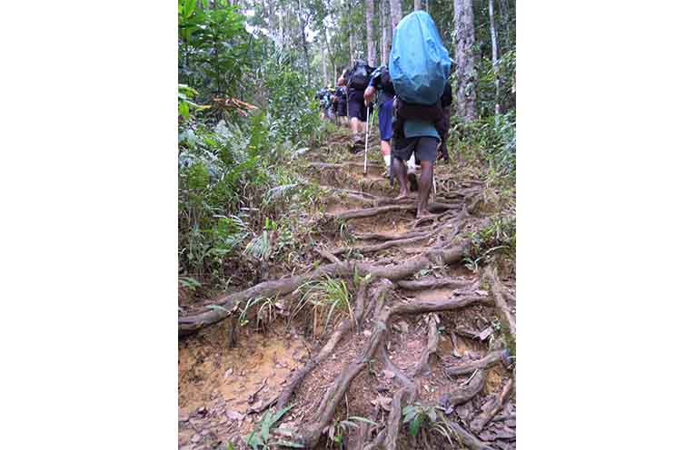A glimpse at just how rugged the Kokoda Track gets. Photo: Wayne Cooper.