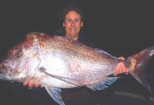 Stinker’s Fishin’: giant snapper