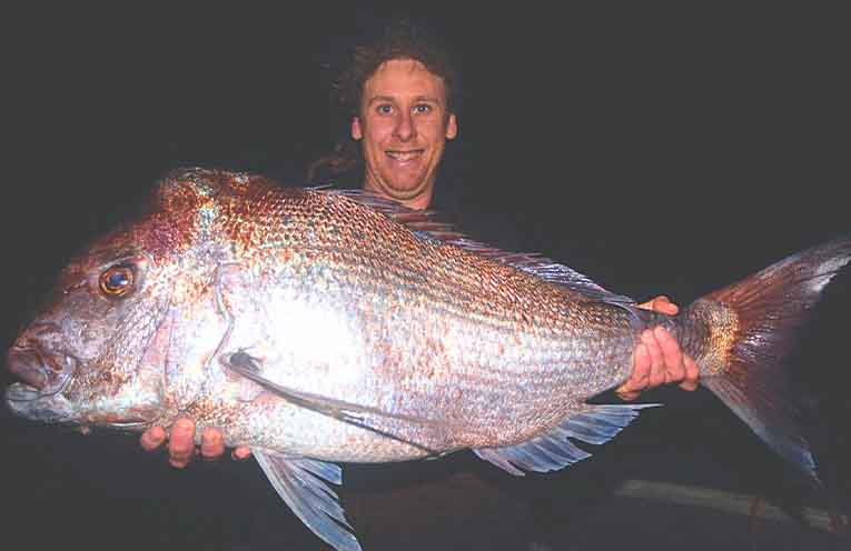 Stinker’s Fishin’: giant snapper