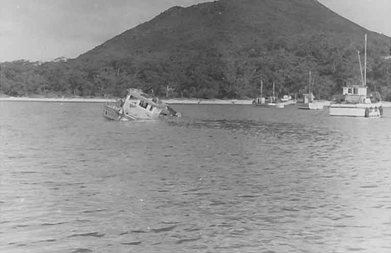 Stinker’s History: the fate of the Italia Star