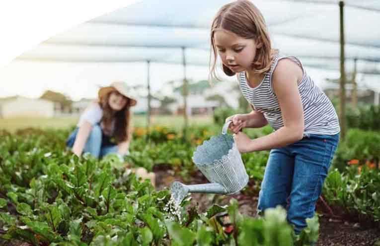 MidCoast Council reminds residents about being water wise