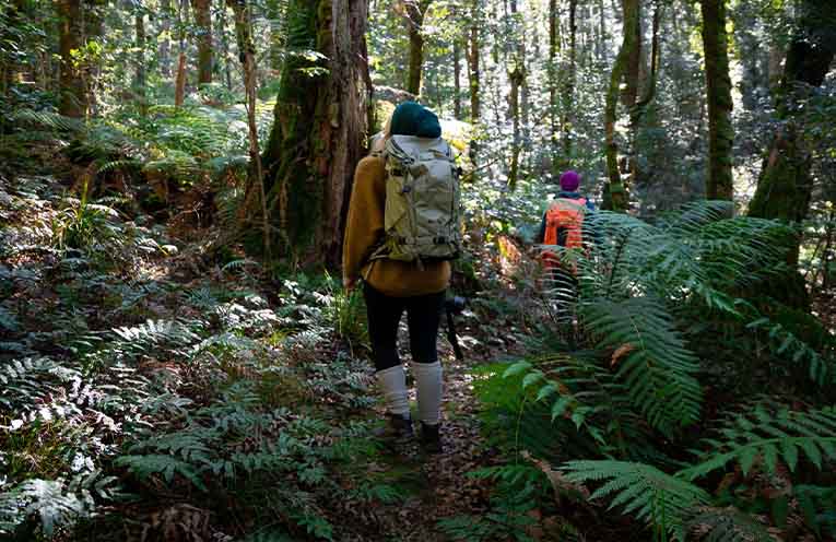 Barrington Coast region continues on ecotourism journey