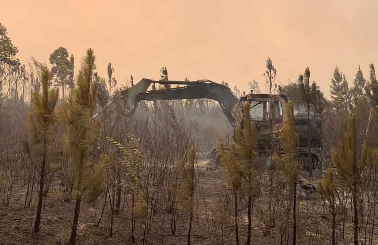 Nerong fires continue to burn and smother towns in smoke