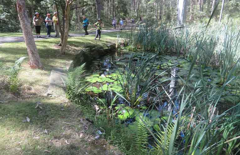 The Thursday Walkers somewhere in the depths of Myall Lakes National Park. Photo: Thursday Walkers.