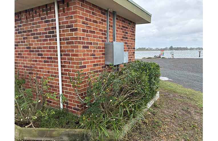 Freshly cut by the HNTGPA in time for Australia Day. Photo: HNTGPA.