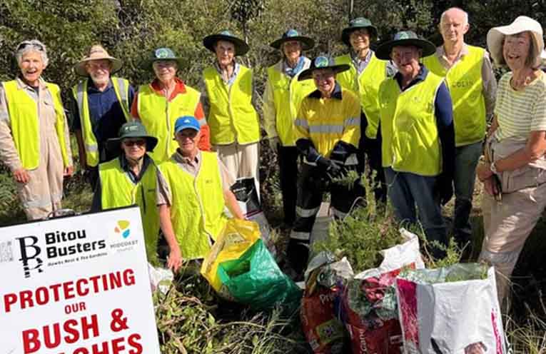 Bitou Busters clock 150 volunteer hours in big year for Hawks Nest bushcare
