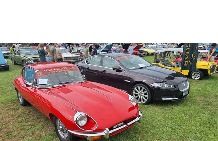 Two Jaguars from very different times. Photo: Thomas O’Keefe.