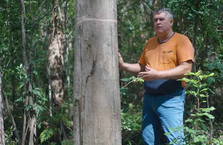 Hardwood supply chain at risk from soaring fuel prices