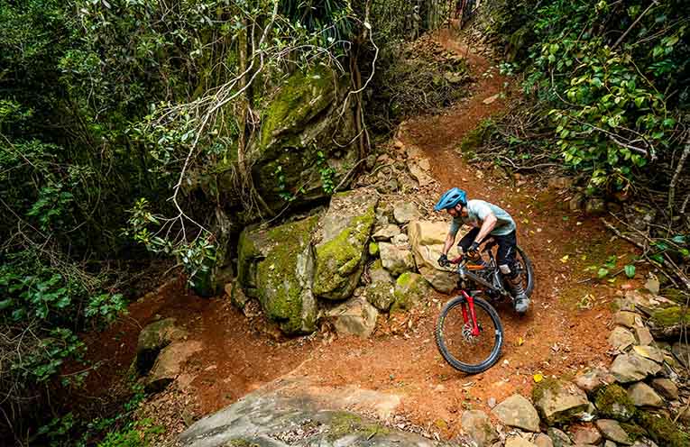 Council supporting businesses to get eco-certified