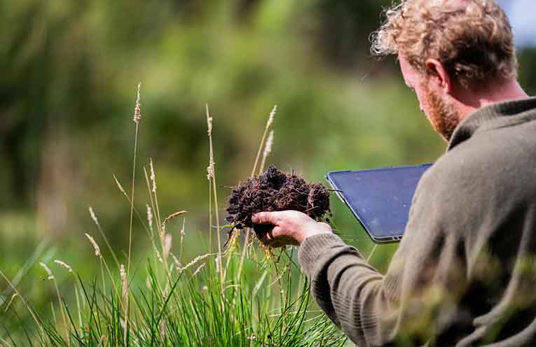 Practical insights for producers across the Hunter