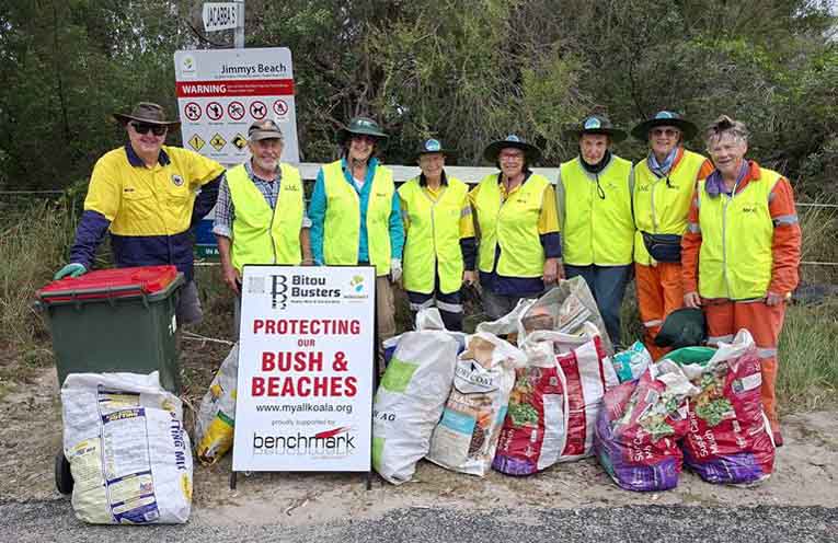 Hawks Nest Bitou Busters tackle mother-of-millions weeds
