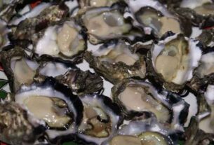 Stinker’s History: The history of oysters