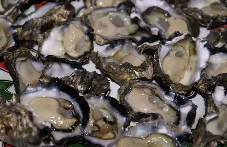 Stinker’s History: The history of oysters