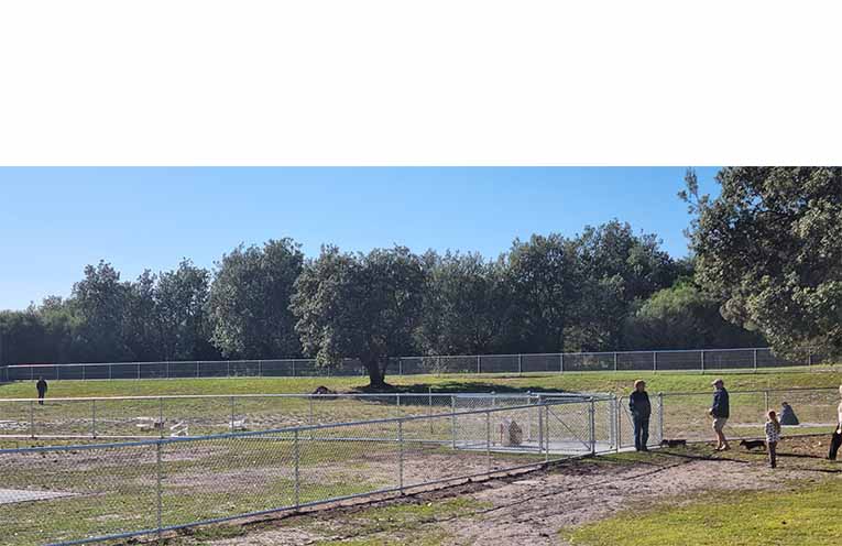 Dog owners patiently await the opening of the large FOLA behind Bennetts Beach. Photo: Thomas O’Keefe