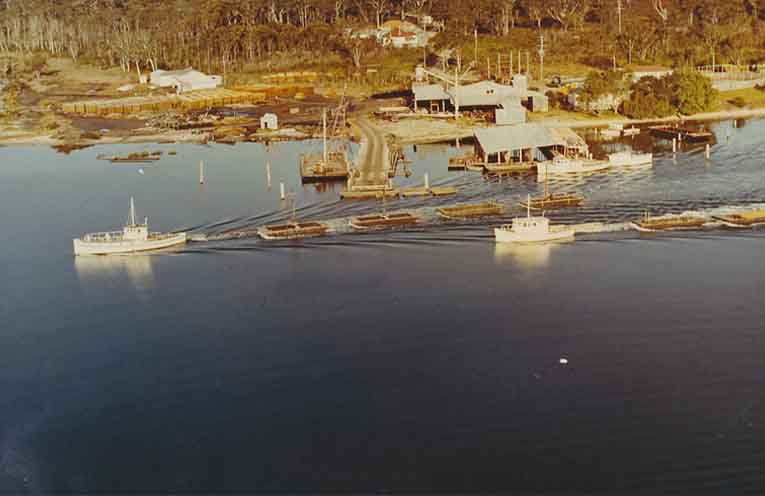 Stinker’s History: How Oyster Cove earnt its name