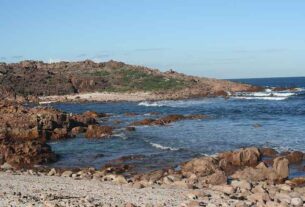 Stinker’s Fishin: Rocky Point