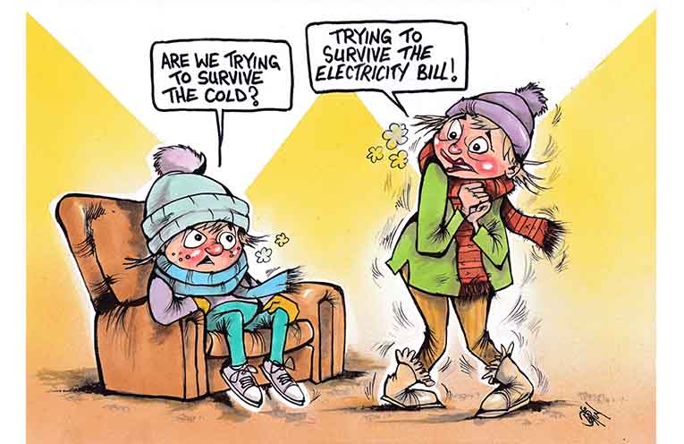 Survive Cold