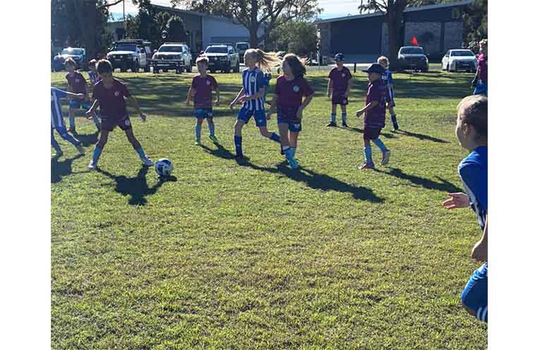 SPORT_Tea Gardens Soccer Club_PY5