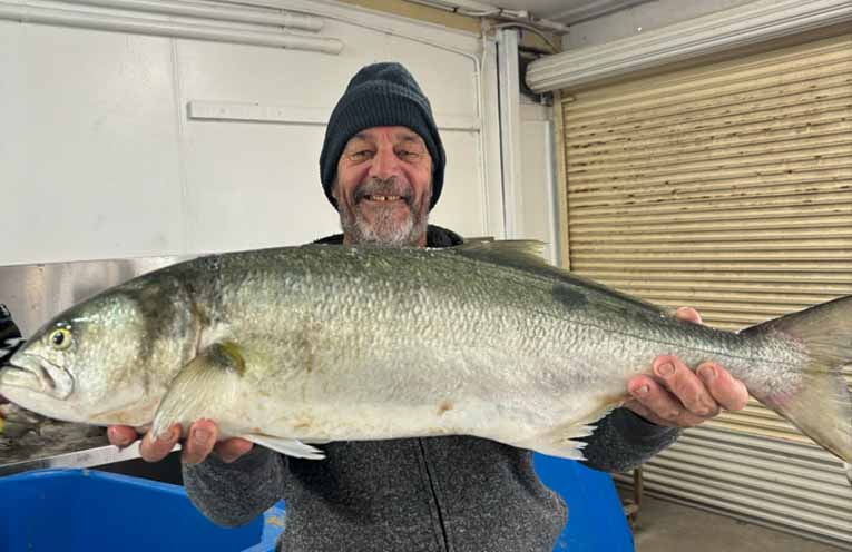 Commercial fisherman Greg Tarrant with monster tailor caught