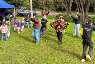 Stroud Community comes together to celebrate NAIDOC Week