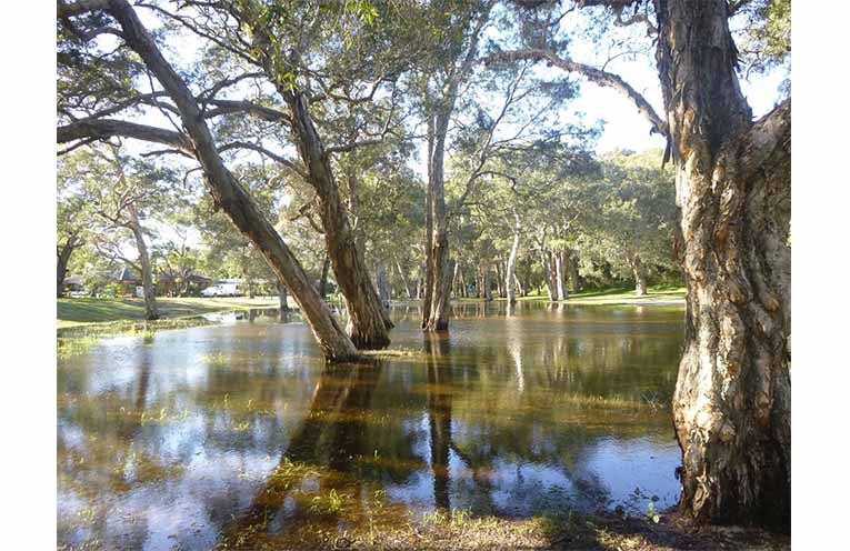 Flooding created a serene scene in Hawks Nest. Photo: Robyn.