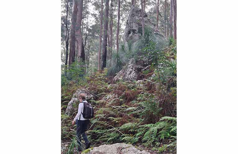 Alum Mountain - ’Something is watching from above’.Photo: Judy.