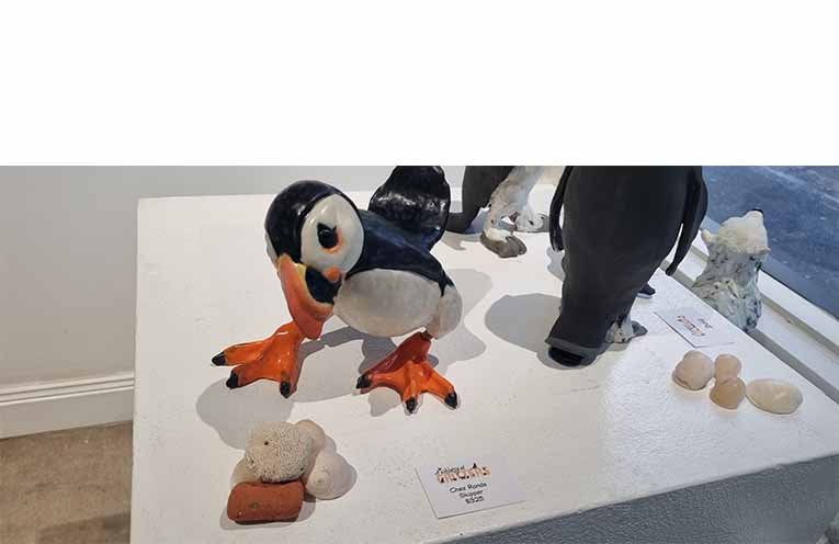 Chez Rands’ ‘Skipper’ is curious about his surroundings. Photo: Thomas O’Keefe.