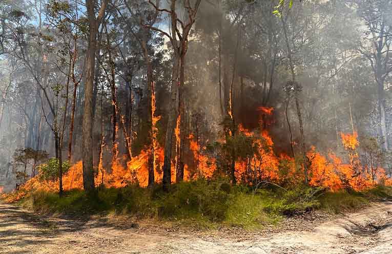 Farmers: don’t wait for disaster – register now for Rural Aid’s assistance