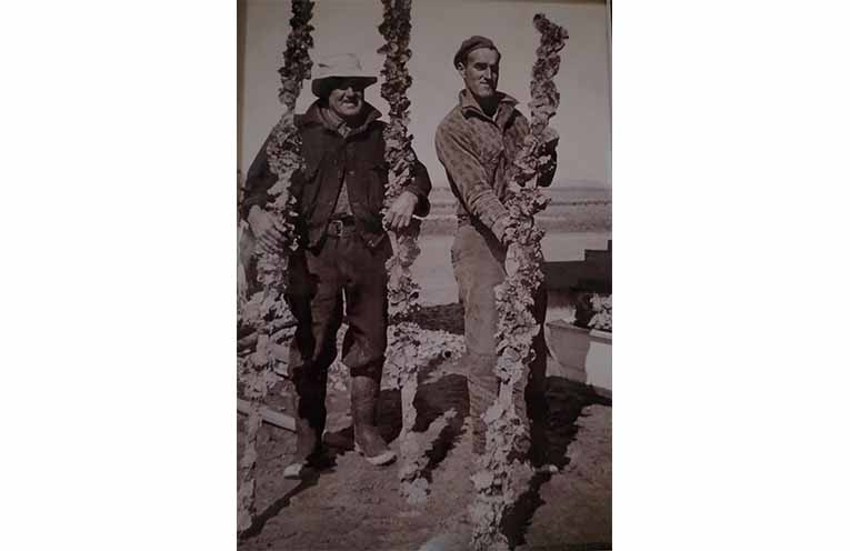 Jesse Motum and his son, Horace (Jan's Father) with their livelihoods in the form of oyster sticks. Photo: Michele Winn.