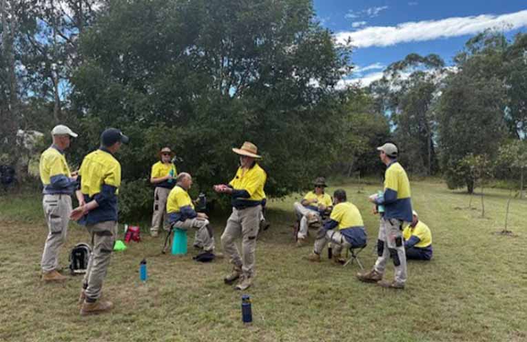 New Koala Tree Guide helps Mid North Coast residents protect koala habitat