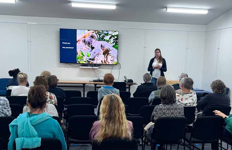 Koala numbers down but you can help give them a safer future
