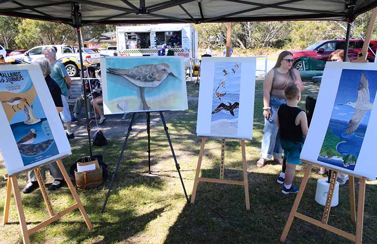 The finalist entries for the Wings over Wetlands competition. Photo: Nico Lombardo.