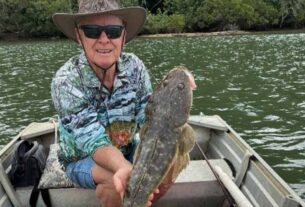 STINKER: The changing face of the Tweed River